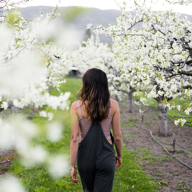 person walking through a blossoming orchard